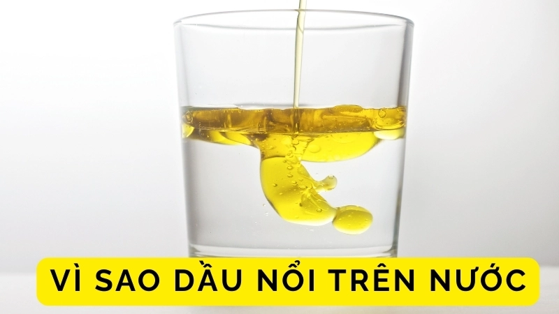  Mật độ dầu thấp hơn nước trong thí nghiệm dầu