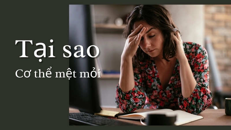 Mệt mỏi thể chất thường do hệ cơ hoạt động quá sức và thiếu năng lượng tạm thời