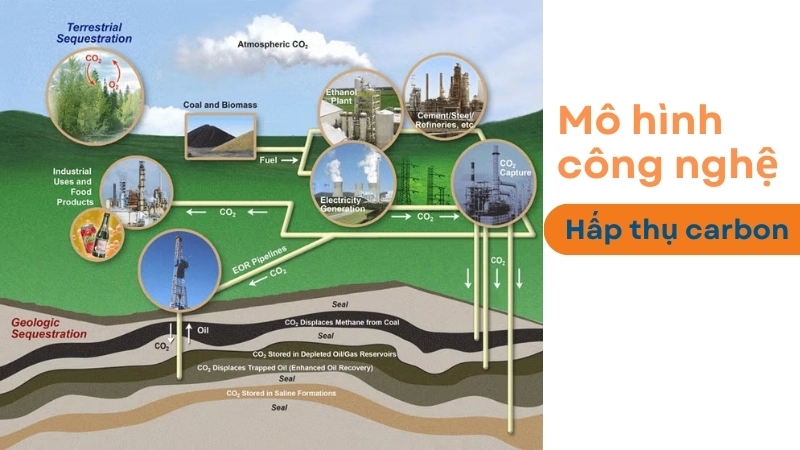Mô hình công nghệ hấp thụ carbon tại một nhà máy công nghiệp