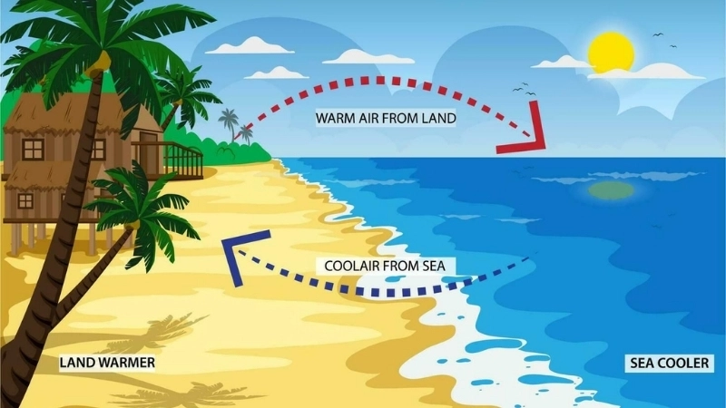 Mô hình gió đất và gió biển cho thấy sự luân chuyển của không khí trong khí quyển hàng ngày