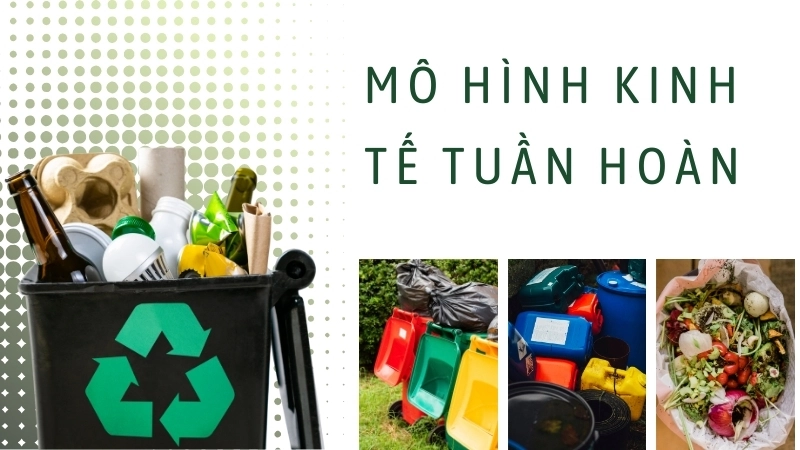Mô hình kinh tế tuần hoàn bắt đầu từ việc phân loại rác thải