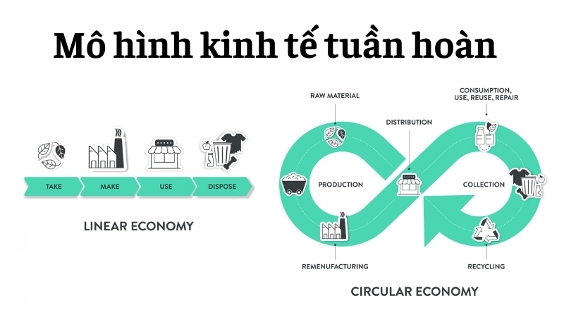  Mô hình kinh tế tuần hoàn biến rác thải thành tài nguyên quý giá
