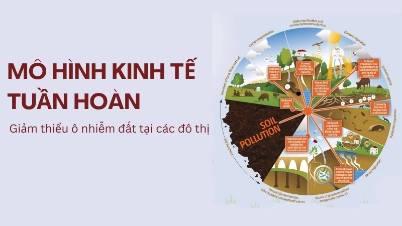  Mô hình kinh tế tuần hoàn giảm thiểu ô nhiễm đất tại các đô thị