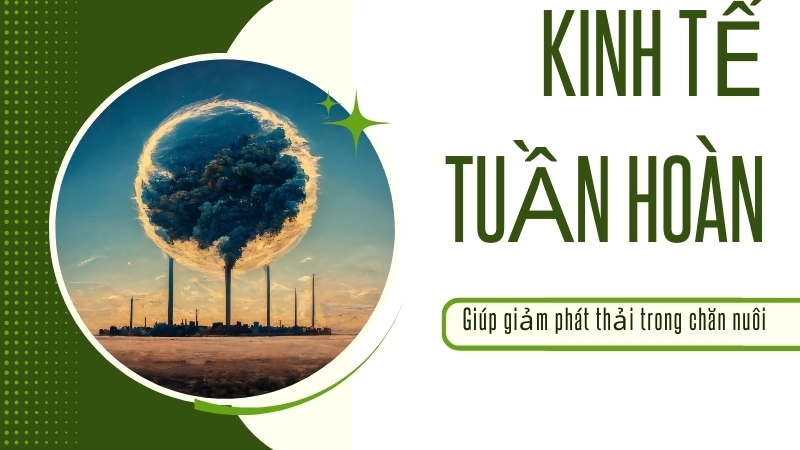  Mô hình kinh tế tuần hoàn giúp giảm phát thải trong chăn nuôi