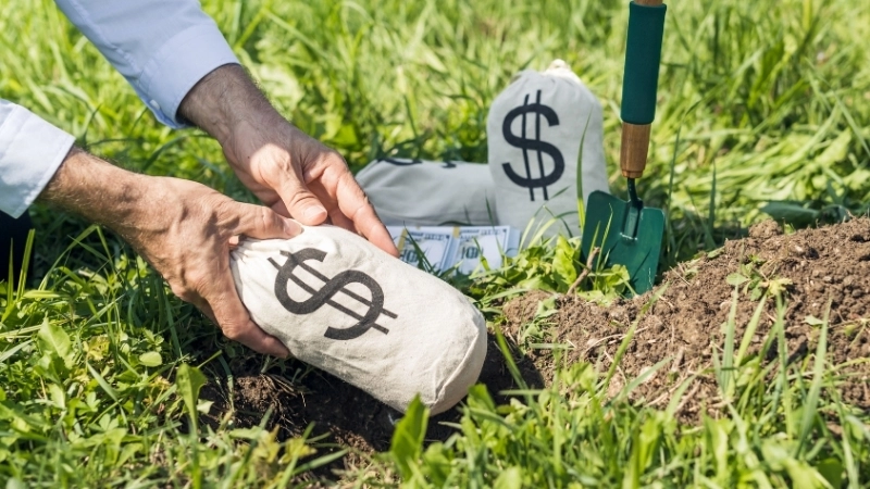  Mô hình kinh tế tuần hoàn trong nông nghiệp bền vững tại Việt Nam