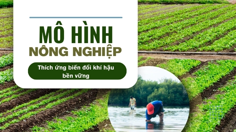 Mô hình nông nghiệp thuận thiên giúp thích ứng biến đổi khí hậu bền vững
