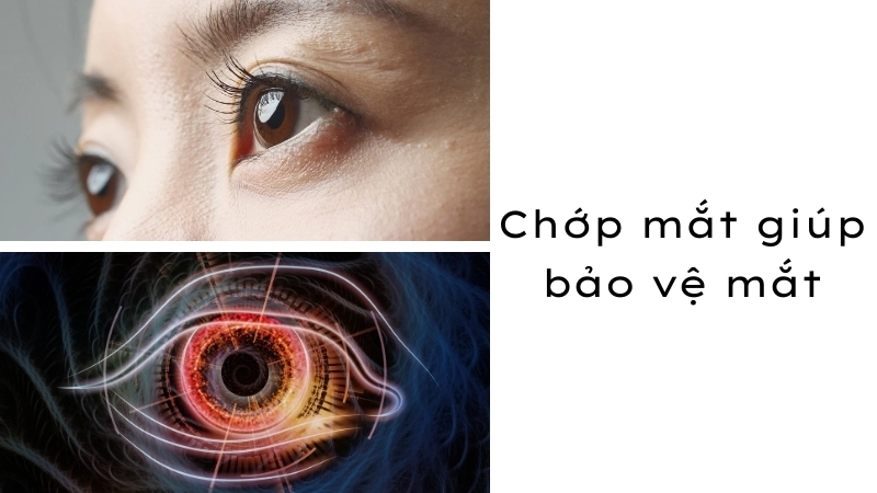  Mỗi cái chớp mắt giúp dàn đều nước mắt để bảo vệ mắt hiệu quả