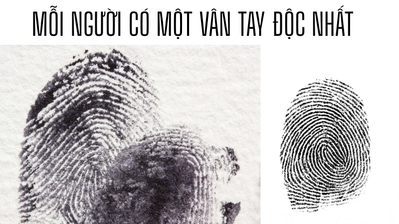  Mỗi vân tay là một thiết kế độc nhất của sinh học cơ thể