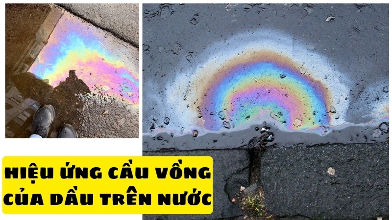 Một thí nghiệm dầu và nước đơn giản có thể tái hiện hiệu ứng cầu vồng đẹp mắt