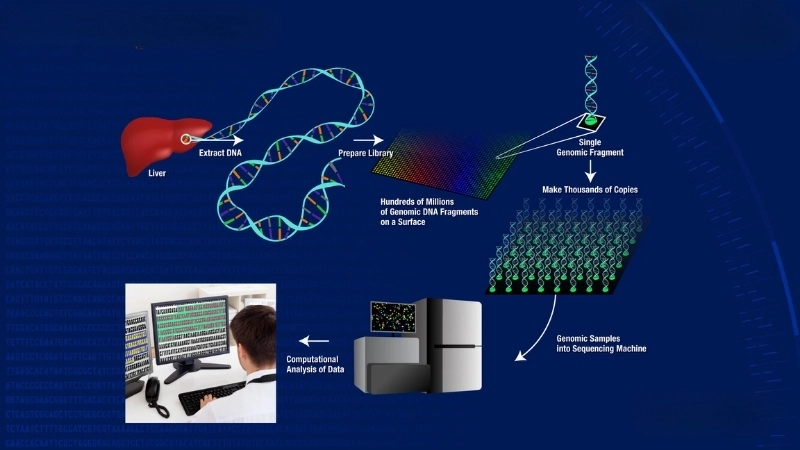  Một ứng dụng giải trình tự gen trong nghiên cứu y sinh
