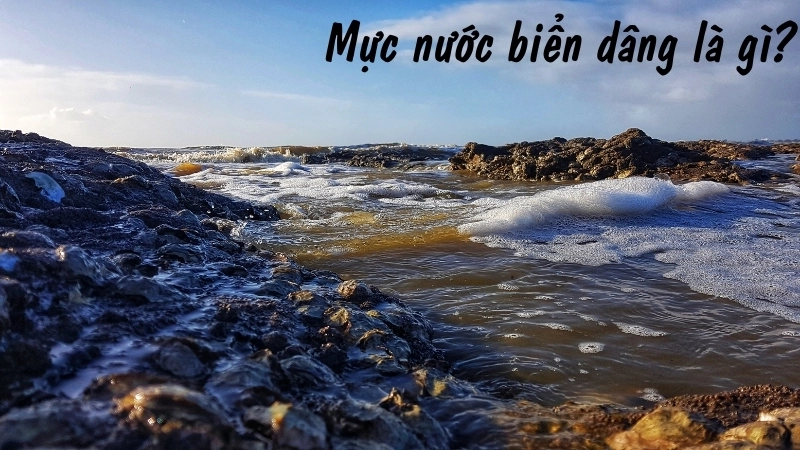 Mực nước biển dâng là gì?