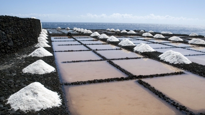  Muối hòa tan từ đất liền tích tụ trong đại dương