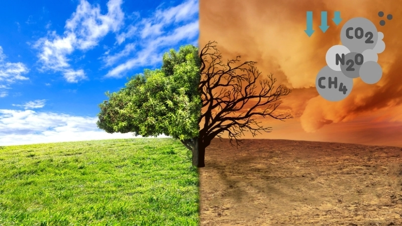 N2O là một khí nhà kính mạnh làm tăng tình trạng biến đổi khí hậu toàn cầu