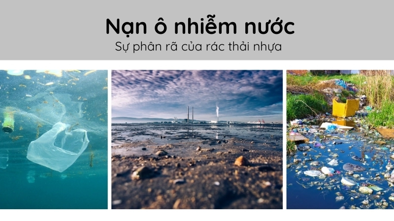  Nạn ô nhiễm nước và sự phân rã của rác thải nhựa