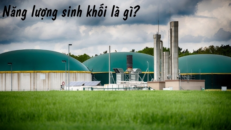 Năng lượng sinh khối là gì?