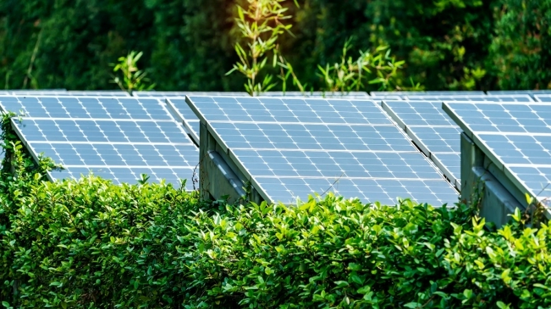 Năng lượng tái tạo là giải pháp cho một tương lai bền vững