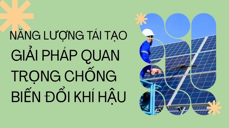 Năng lượng tái tạo là giải pháp quan trọng chống biến đổi khí hậu