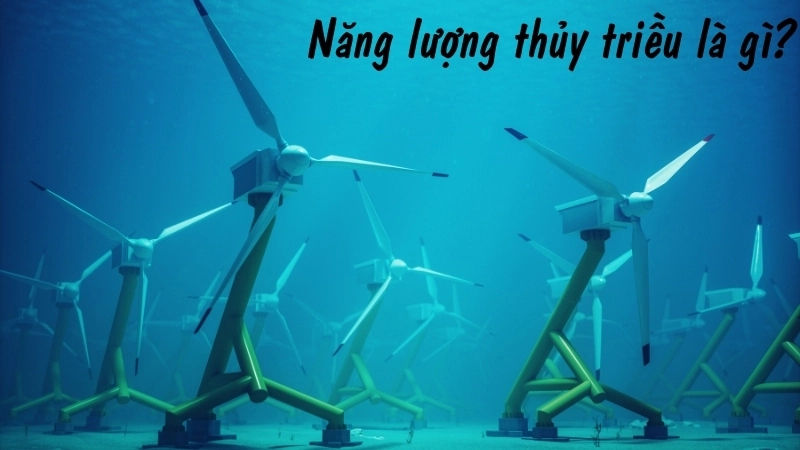 Năng lượng thủy triều là gì?