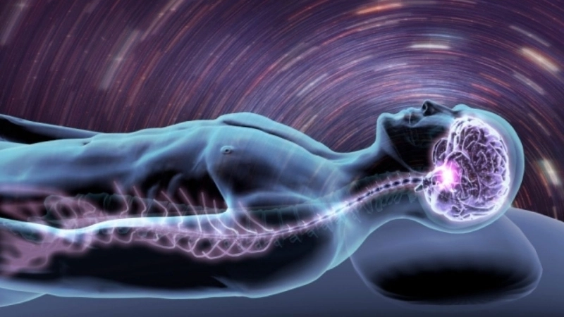 Não bộ đang sắp xếp lại thông tin và củng cố trí nhớ trong khi ngủ