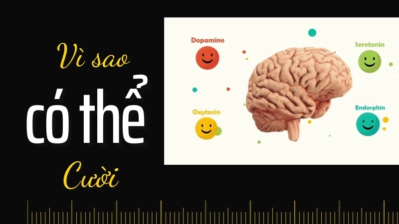  Não bộ giải phóng endorphin khi chúng ta cười, giúp cải thiện tâm trạng