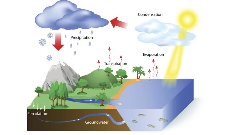  Ngưng tụ hơi nước tạo mây nhẹ trong thí nghiệm mây