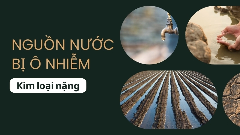  Nguồn nước bị ô nhiễm kim loại nặng từ các khu công nghiệp chưa qua xử lý
