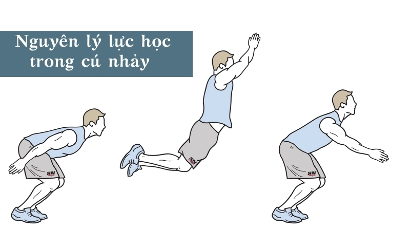 Nguyên lý lực học trong cú nhảy thể hiện rõ sức mạnh của sinh học cơ thể