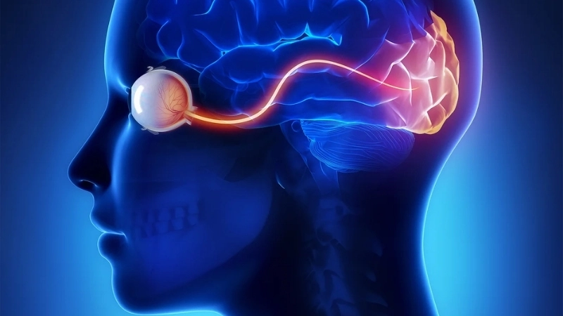  Nhắm mắt giúp giảm tải cho não bộ, tăng cường khả năng tập trung và suy nghĩ sâu