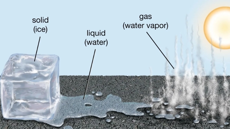  Nhiệt độ cao làm các phân tử nước chuyển động hỗn loạn 