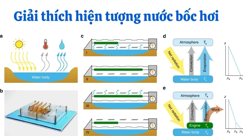  Nhiệt động lực học giải thích năng lượng khiến nước bốc hơi