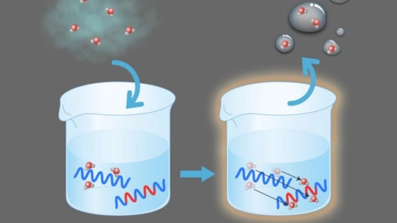  Nhiệt làm phân tử nước chuyển thành hơi trong khí quyển