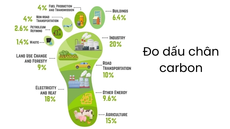  Nhiều phần mềm đo dấu chân carbon giúp tính toán nhanh chóng và chính xác