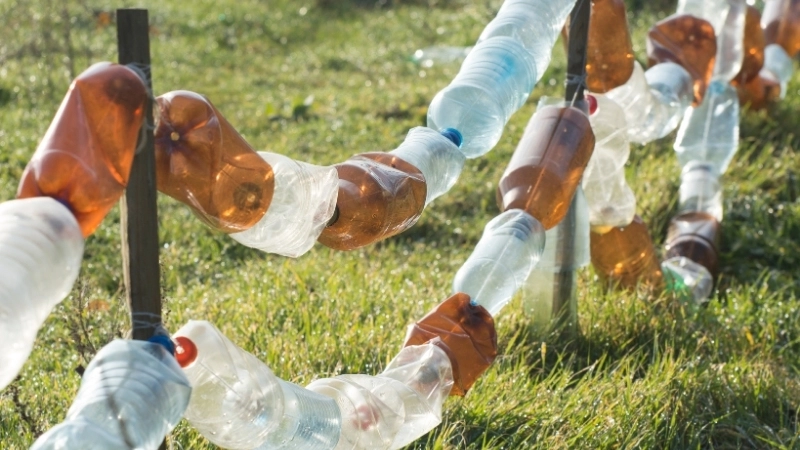 Những chiếc chai nhựa cũ được tái sử dụng làm chậu trồng cây xinh xắn