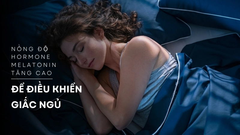  Nồng độ hormone melatonin tăng cao vào ban đêm để điều khiển giấc ngủ