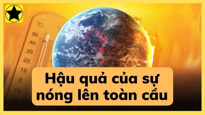 Hậu quả đối với đời sống con người