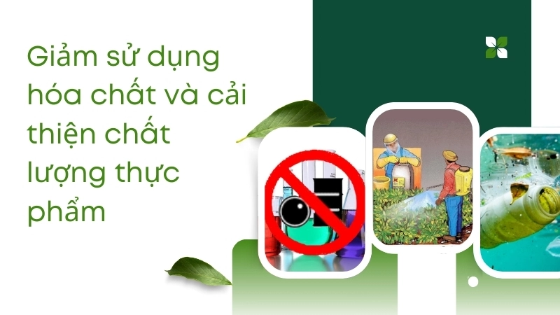 Giảm sử dụng hóa chất và cải thiện chất lượng thực phẩm