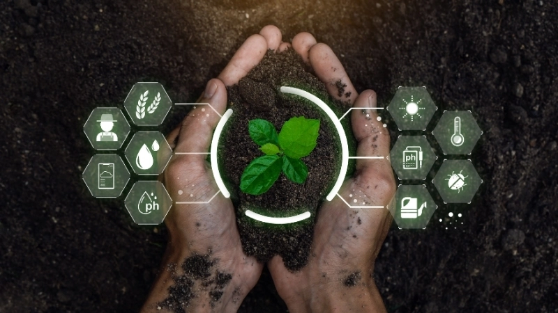 Nông nghiệp bền vững là chìa khóa cho một hệ thống thực phẩm xanh