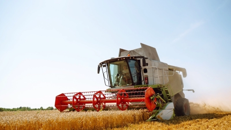 Nông nghiệp bền vững là chìa khóa cho một tương lai an toàn lương thực