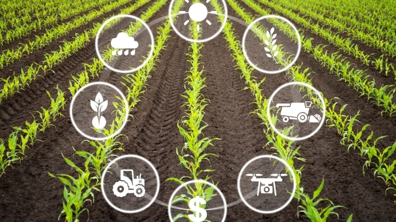 Lợi ích nổi bật của nông nghiệp thông minh