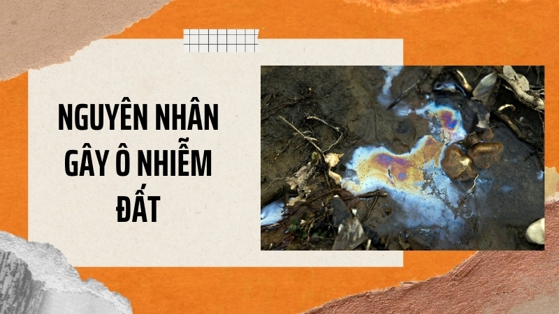 Nguyên nhân gây ô nhiễm đất