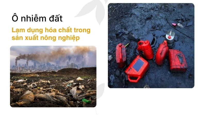  Ô nhiễm đất do lạm dụng hóa chất trong sản xuất nông nghiệp