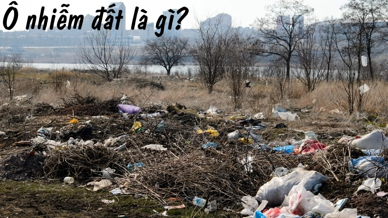 Ô nhiễm đất là gì?