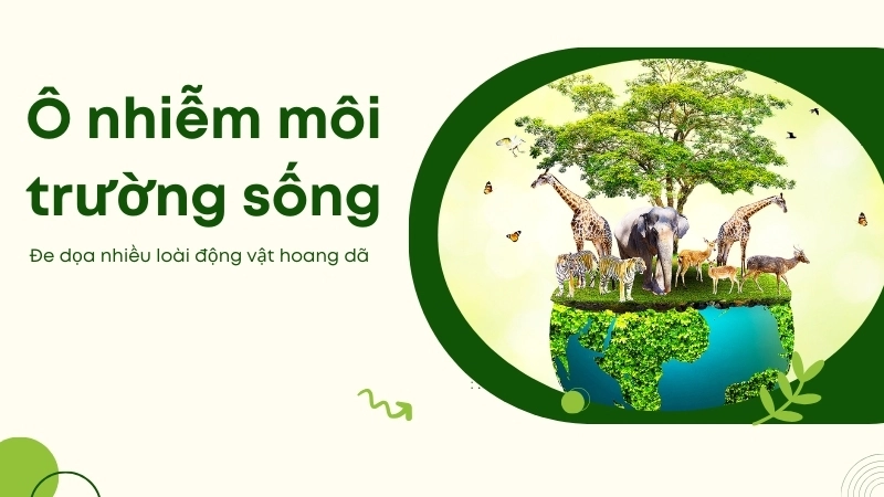 Ô nhiễm môi trường sống đang đe dọa nhiều loài động vật hoang dã