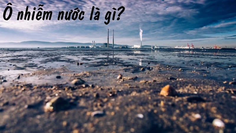 Ô nhiễm nước là gì?