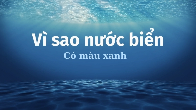 Ở những vùng biển sâu và trong nước biển có màu xanh lam thẫm