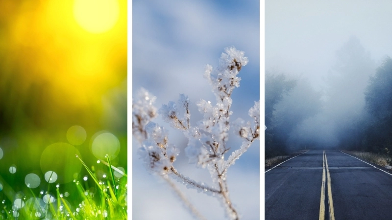  Phân biệt sương, sương muối, sương mù trong chu trình nước