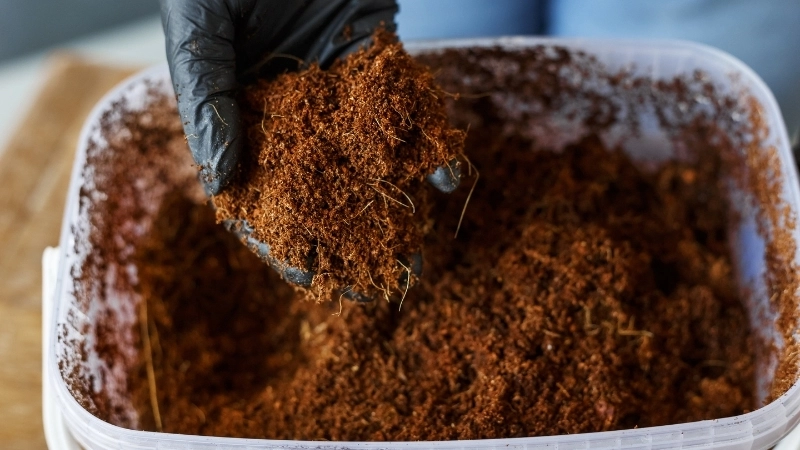 Cách sử dụng và bảo quản phân hữu cơ hiệu quả