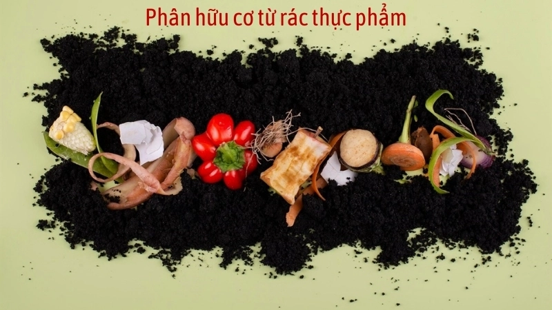 Phân hữu cơ từ rác thực phẩm giúp khu vườn thêm xanh tốt