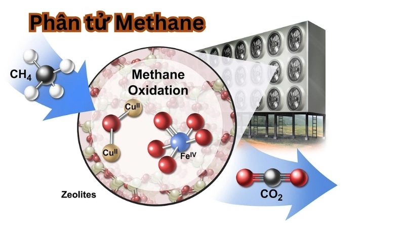 Phân tử Methane  giữ nhiệt hiệu quả hơn cả khí CO2