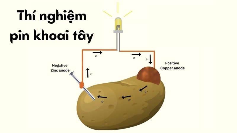 Phản ứng hóa học giữa kim loại và axit là cốt lõi của thí nghiệm pin khoai tây